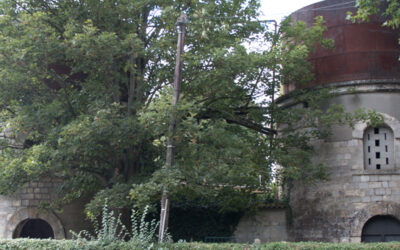 La machine élévatrice des eaux