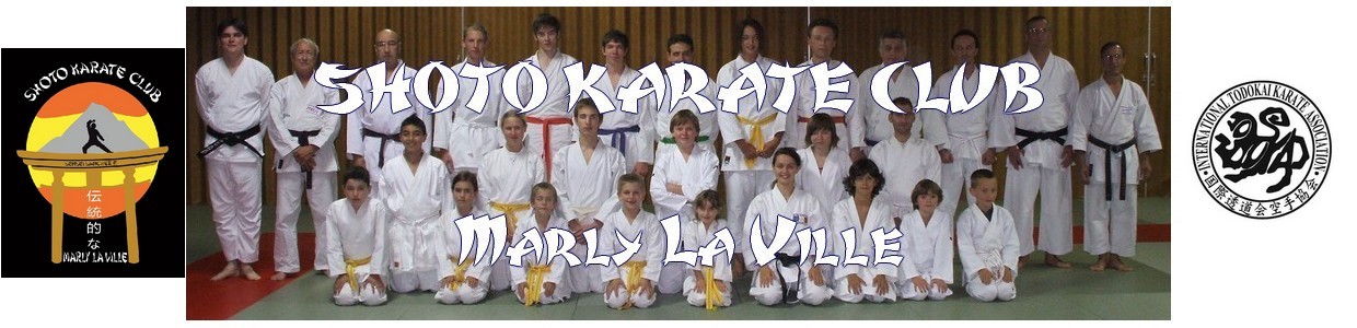 karate logo_2