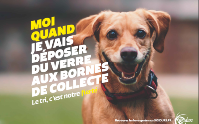 Sigidurs – Moi quand…