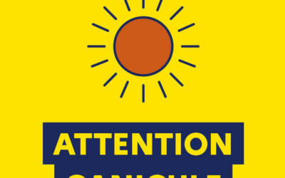 Alerte Canicule à partir du 6 août