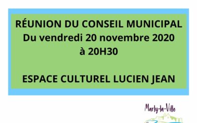 Conseil Municipal du vendredi 20 novembre 2020