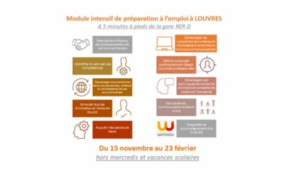 Module intensif de remobilisation et de préparation à l’emploi