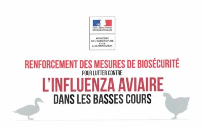 Attention – Influenza Aviaire