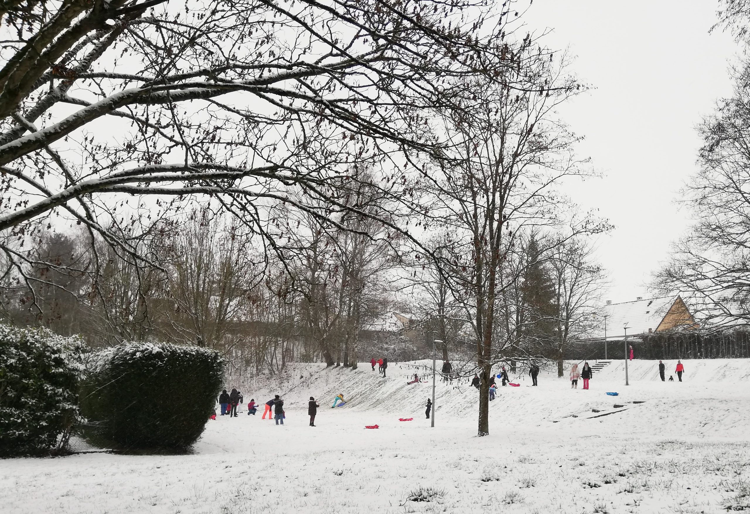 neige jeux luges 2 (c))