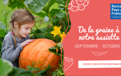 De la graine à notre assiette !