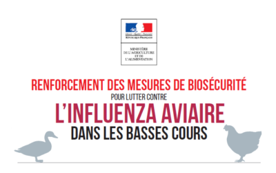 Vigilance Propagation de l’influenza aviaire