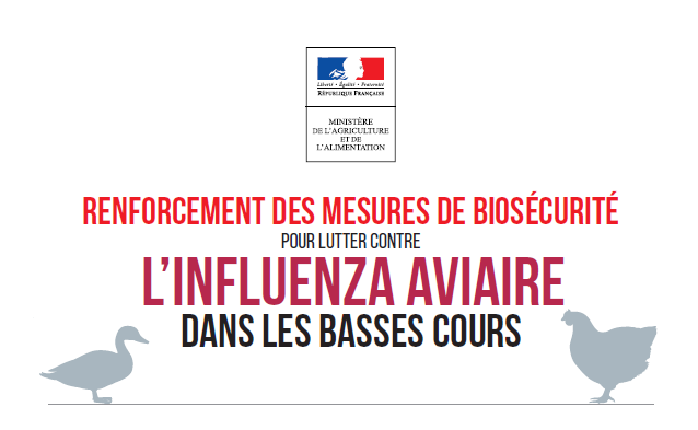 Vigilance Propagation de l’influenza aviaire