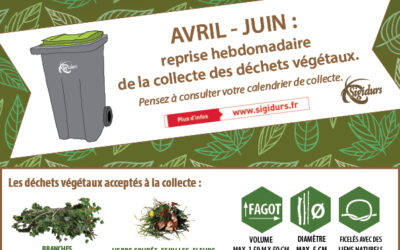 Déchets végétaux : une ressource dans votre poubelle
