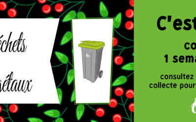 Collecte des déchets végétaux : l’été, c’est 1 semaine sur 2 !