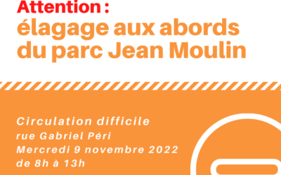 Elagage aux abords du parc Jean Moulin le 9 novembre