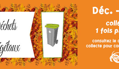Collecte des déchets végétaux : attention, changement de fréquence !