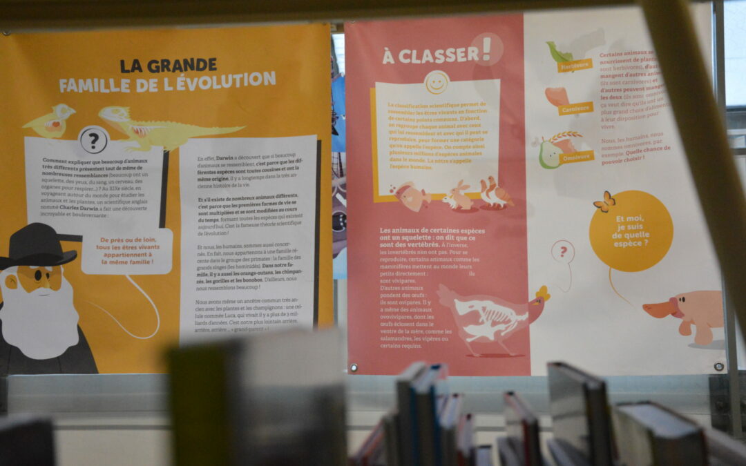 Exposition L214 « Un animal, des animaux » jusqu&rsquo;au 18 février, à la Bibliothèque municipale