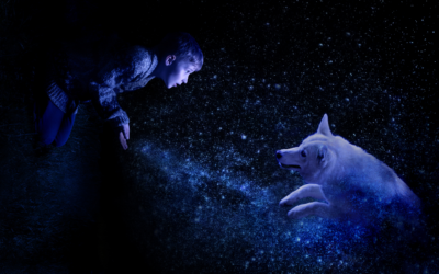 Pierre et le loup, le 2 mars Ă l’Espace Culturel Lucien Jean